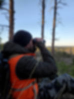 Hunter using Maven binoculars to search for deer