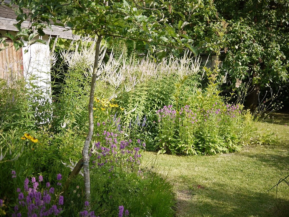 Garten_Oase_Stauden_jpg.jpeg