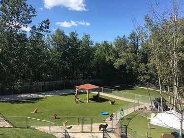 Barkers Pet Motel Best Dog Boarding Daycare St. Albert Edmonton Grooming
