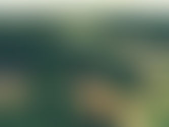 芬蘭奧福國際音樂營