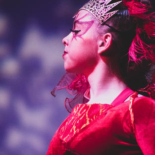 ENJOY A PERFORMANCE