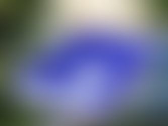 Le long de l'autoroute entre Rennes et Caen