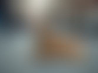 الكلاب الضالة في عمان تأثيرها السلبي على السكان وسبل معالجتها