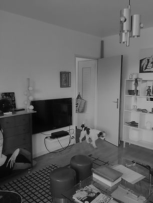 avant-renovation-bas-rhin-salon-tv-chien-java