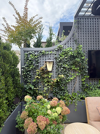 A wooden trellis sits above matching powder coated aluminum planters. The trellis snakes up and connects to a pergola.