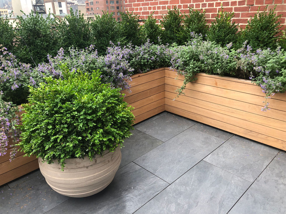 Wood clad planters bursting with plants.