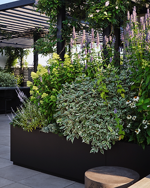 A black aluminum pergola being bolstered by matching planters.