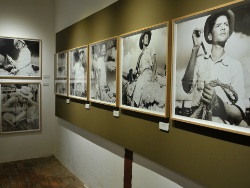 Um escritor brilhante e sua viagem no coração do sertão