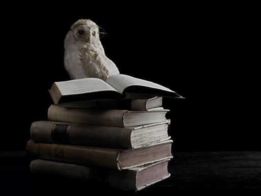 Números mostram que o livro impresso irá continuar a vender e a vender muito. As vendas em 2015 fora