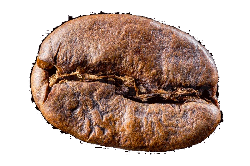 bean.gif