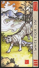 TarotMagnets24-White Tiger Six.jpg