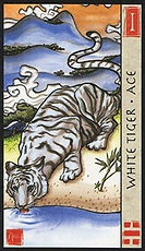 TarotMagnets24-White Tiger Ace.jpg