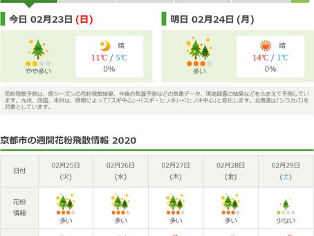 花粉、始まりました