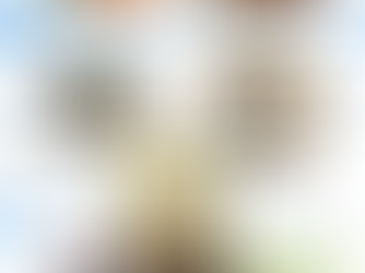 悪戦苦闘中です