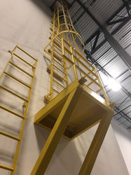 Roof Access Ladder Interior