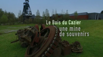 Bois du Cazier