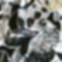 D5C1276B-2D2D-4F2A-A9B8-E8A47F3DAD86.jpg
