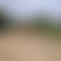 पालखी सोहळ्यात स्थानिक प्रशासनाची भूमिका