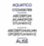 Miniature : Typographie 