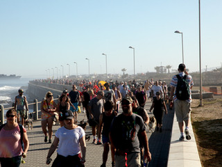 Furry friends and human companions fill the Sea Point promenade