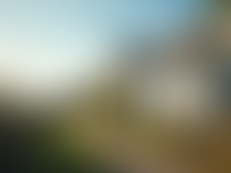 Eye-level view of a coastal holiday cottage with a "To Let" sign outside