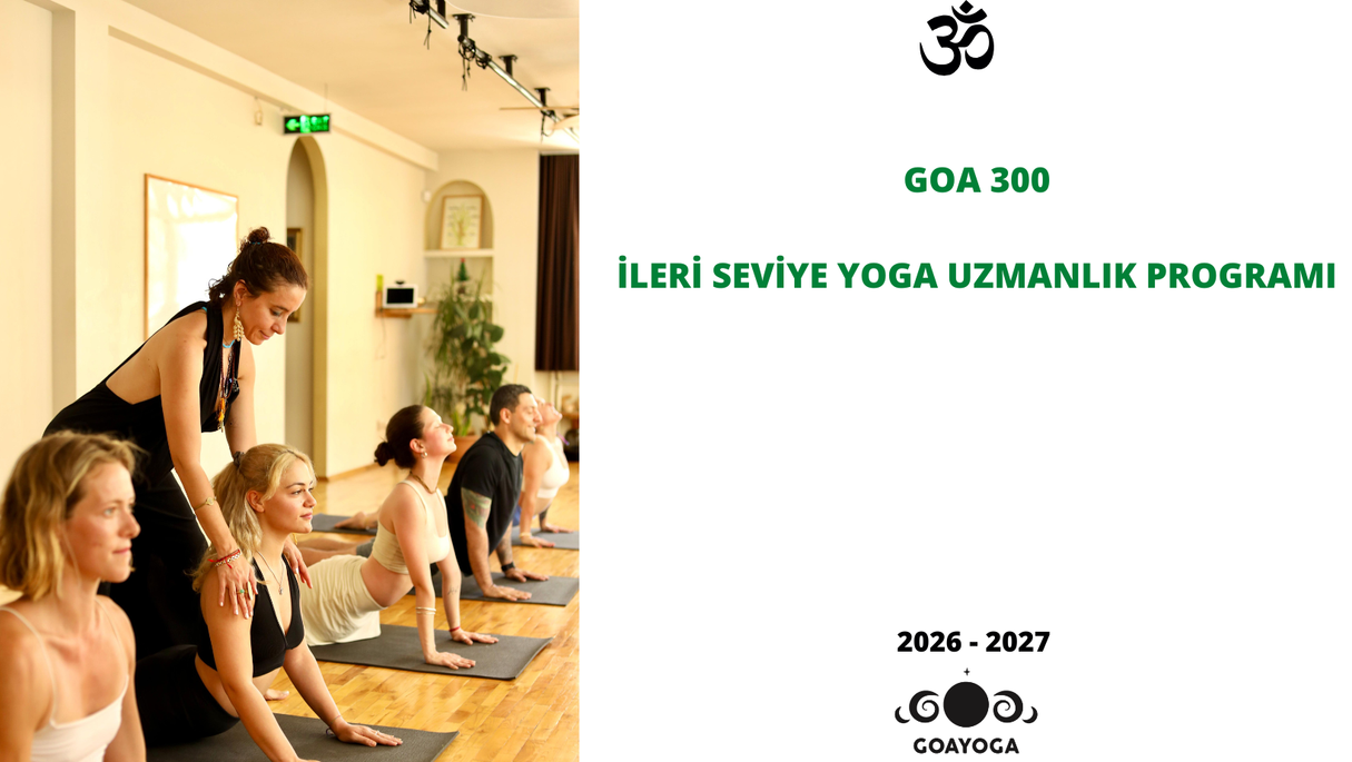 GOA 300