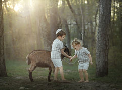 IMG_3595-Edit.jpg