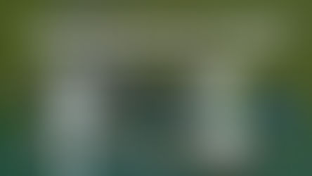 Vision Therapy training tools displayed on a green background with text ‘Saying Goodbye to Our Flippers (and Hello to What’s Next!)’ and Emergent VT logo at the bottom.