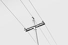 Power Line Pole