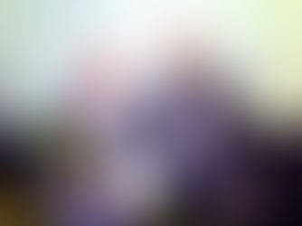 Maksan endale korralikku palka ja maksudega ei skeemita