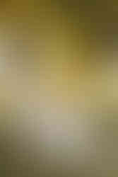 sesja plenerowa, ostrowska fotograf, sesja radom, fotograf radom, sesja rodzinna, sesja rodzinna radom, sesja mamy i dziecka, voucher, plener, fotografia rodzinna