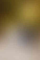 fotograf radom, sesja ślubna radom, sesja poślubna radom, ostrowska fotograf, sesja radom