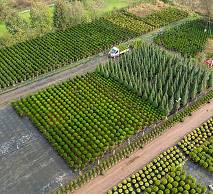 free-photo-of-garten-baume-landwirtschaft-uber.jpeg