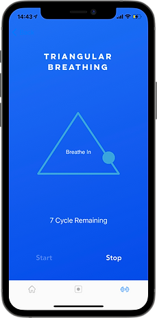 ConiPhone12Layers(3).png