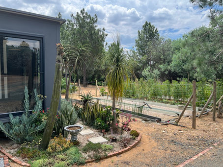 Human Connection in a High-Tech World