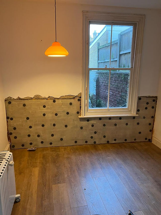 Damp Proofing Project