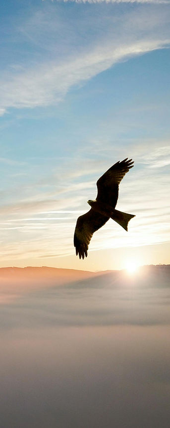 Trening oddechowy i medytacyjny