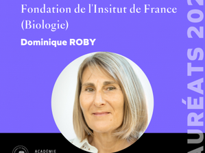 Prix Jaffé/Fondation de l’Institut de France décerné à Dominique ROBY