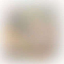 Vicious Cycle: Analysing the Mechanism of UK Private School VAT Policy’s Impact on Social Inequality