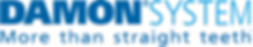 Damon System