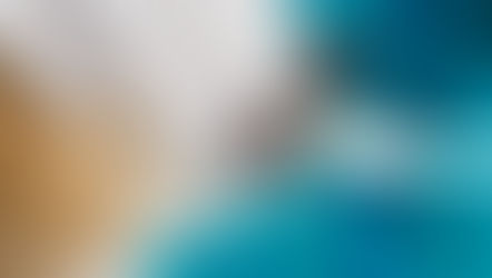 Dog Teeth Cleaning For Healthy Teeth