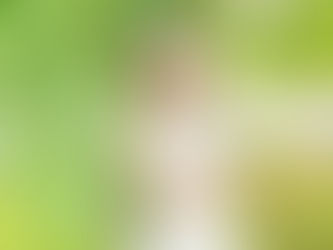 Crafting Your Perfect Smile with Artful Dentistry Techniques