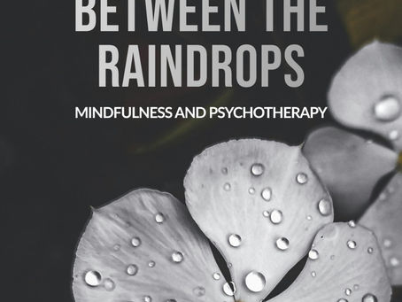 Between The Raindrops - Mindfulness and Psychotherapy