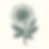 flower_vector.png