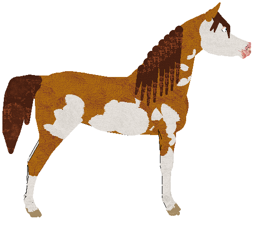 petz141.gif