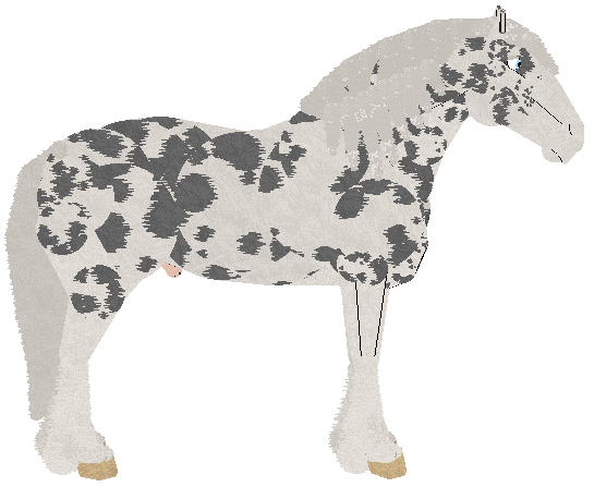 petz246.gif