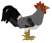 petz277.gif
