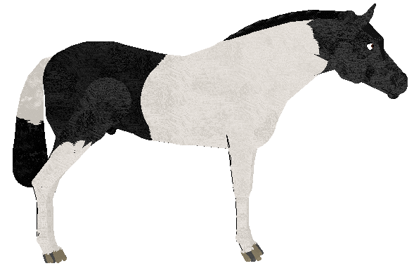 petz168.gif