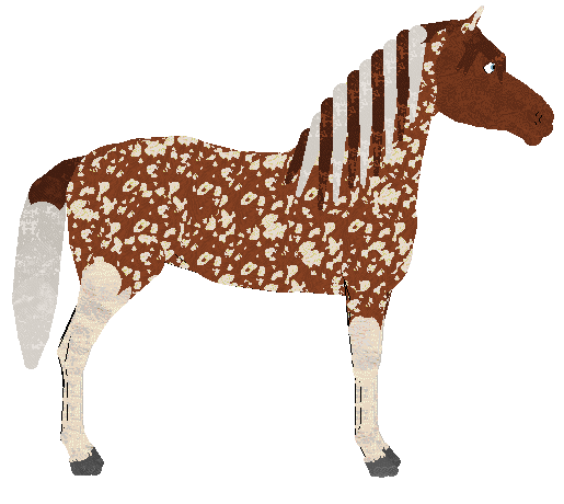 petz243.gif