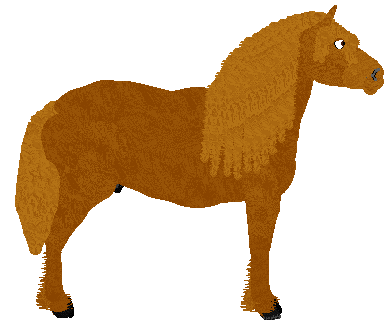 petz217.gif